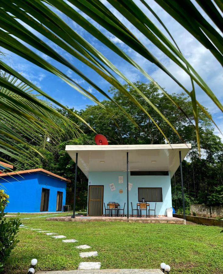 Posada Miradia Matapalo  Esterno foto