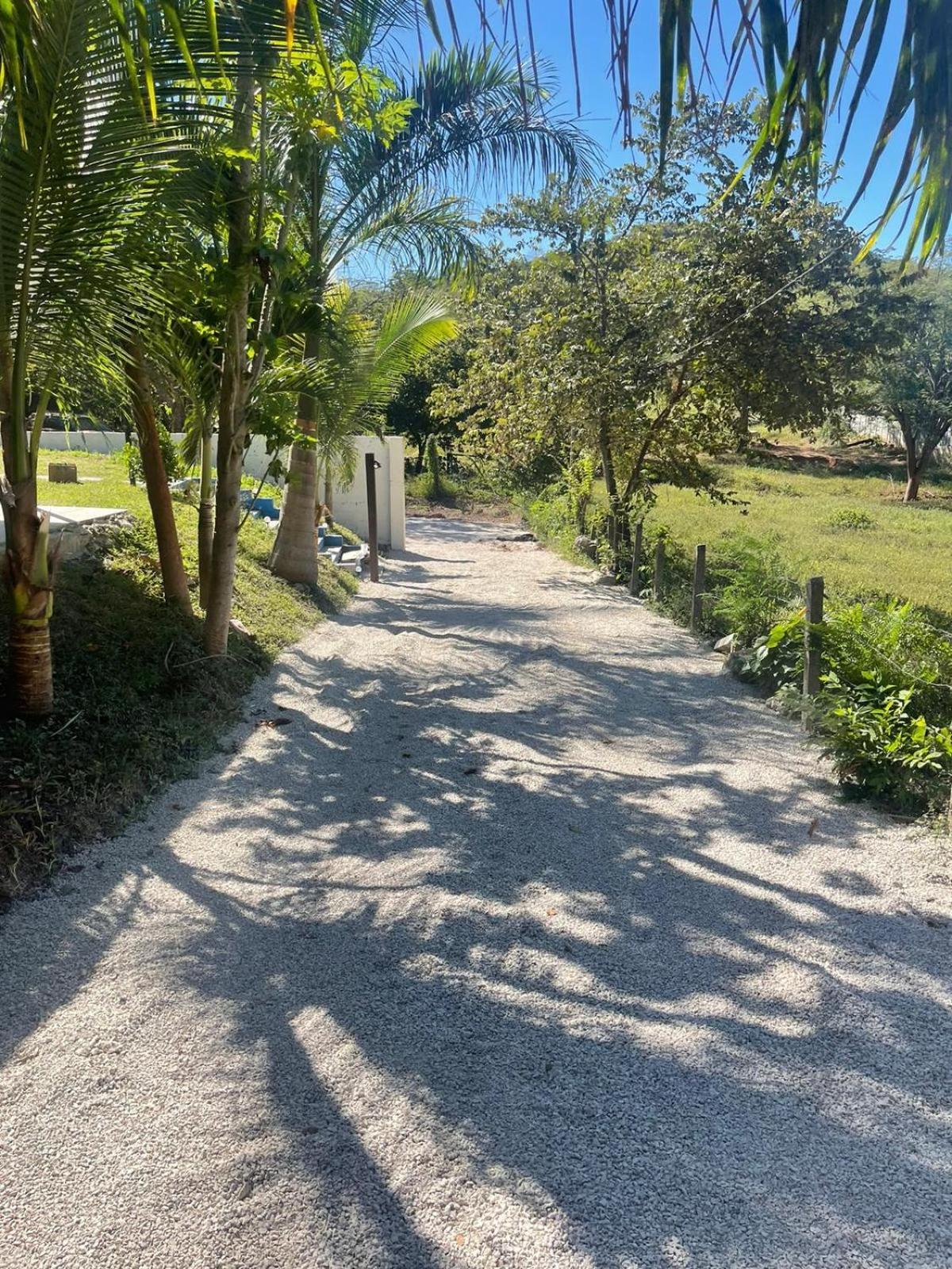 Posada Miradia Matapalo  Esterno foto